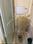 Pratiksha Nagar Bathroom 2