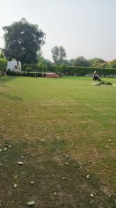 Image of 9072 Sq.ft Residential Plot / Land for sale in Dkrrish Alaska Farms, Nagla Nagli, Noida for Rs. 8500000