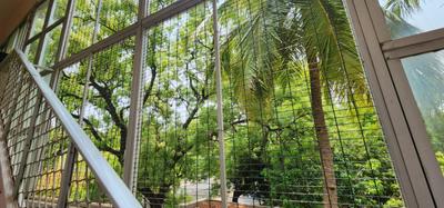 Balcony Image of 1500 Sq.ft 1 BHK Independent House for rent in Sampath Nagar Erode for Rs. 15000