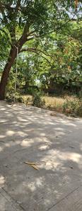 Shree Ram Plot View 2