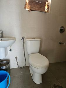 Common Bathroom Image of 960 Sq.ft 2 BHK Apartment / Flat for rent in Gagan Adira, Wagholi Pune for Rs. 23000