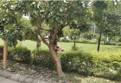 Image of 3100 Sq.ft Residential Plot / Land for sale in Omaxe Avenue, Omaxe City, Lucknow for Rs. 28000000
