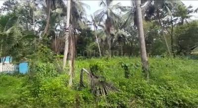 Residential Plot in Benaulim Plot View 3