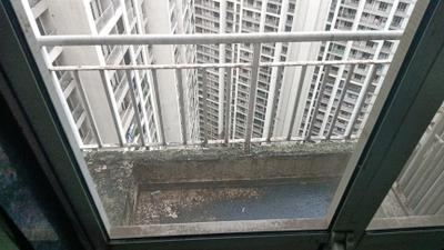 Kitchen Image of 1250 Sq.ft 2 BHK Apartment / Flat for sale in Indiabulls Greens, Panvel Navi Mumbai for Rs. 6500000