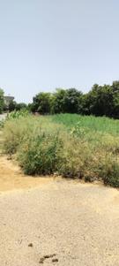 Image of 40 Sq.ft Residential Plot / Land for sale in Residential Authority Plots, Noida Extension, Greater Noida for Rs. 5500000