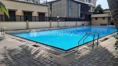 Image of 1150 Sq.ft 2 BHK Apartment / Flat for sale in Neelsidhi Jai Balaji CHS, Nerul, Navi Mumbai for Rs. 27000000
