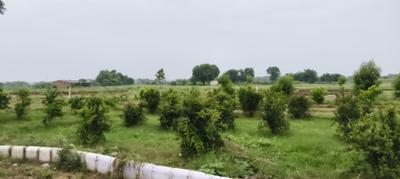 Image of 2000 Sq.ft Residential Plot / Land for sale in Tappal, Aligarh for Rs. 2000000