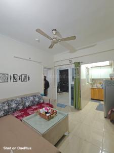 Hall Image of 530 Sq.ft 1 BHK Apartment / Flat for rent in Gaurs 14th Avenue, Noida Extension Greater Noida for Rs. 23000