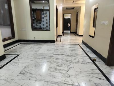 Hall Image of 4150 Sq.ft 4 BHK Builder Floor for rent in Hauz Khas New Delhi for Rs. 245000