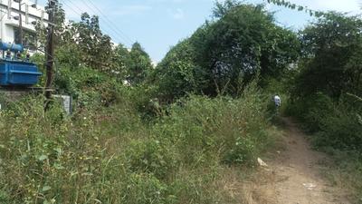 Umroli Plot View 3