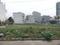 Sector 75 Plot View 2