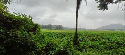 Image of 3550 Sq.ft Residential Plot / Land for sale in Assonora, Goa for Rs. 71000000