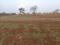 Bhor Plot View 2