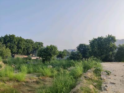 Image of 900 Sq.ft Residential Plot / Land for sale in Pandav Nagar, Ghaziabad for Rs. 6999998