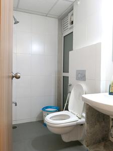 Common Bathroom Image of 700 Sq.ft 1.5 BHK Apartment / Flat for rent in Godrej Emerald, Kasarvadavali Thane for Rs. 27199