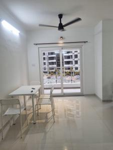 Hall Image of 1500 Sq.ft 3 BHK Apartment / Flat for rent in Om Shiv Kailasa, Mihan Nagpur for Rs. 38000
