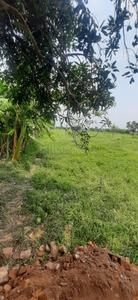 Image of 720 Sq.ft Residential Plot / Land for sale in Thakuranir Chak, Kolkata for Rs. 450000