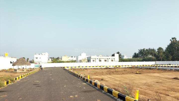 golden aura Main Image 1