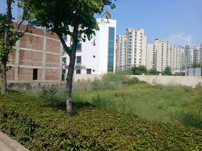 Residential Plot