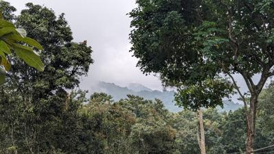 Image of 9147 Sq.ft Residential Plot / Land for sale in Vilpatti, Kodaikanal for Rs. 250000