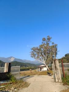 Bhauwala Plot View 3