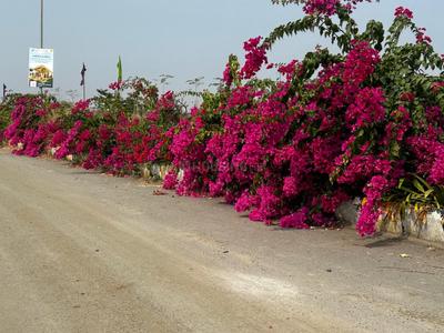 Image of 150 Sq.ft Residential Plot / Land for sale in Sri Supraja Bridge County, Sangareddy Town, Sangareddy for Rs. 2300000