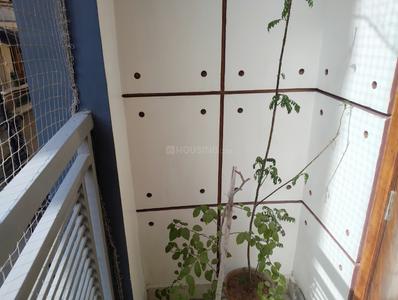 Balcony Image of 1000 Sq.ft 2 BHK Builder Floor for rent in Preet Vihar New Delhi for Rs. 28000