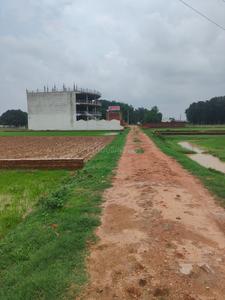 Karaundi Plot View 3