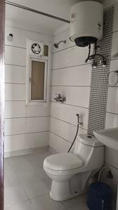 Image of 1340 Sq.ft 3 BHK Apartment / Flat for rent in Gulshan Ikebana, Sector 143, Noida for Rs. 32000