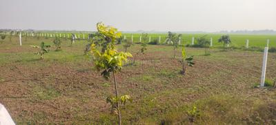 Image of 9600 Sq.ft Residential Plot / Land for sale in Walajabad, Chennai for Rs. 2400000