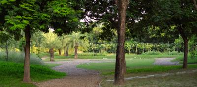 Image of 5400 Sq.ft Residential Plot / Land for sale in Nalsarovar, Ahmedabad for Rs. 4645000