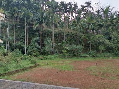 Image of 100000 Sq.ft Residential Plot / Land for sale in Koppa, Chikkamagaluru for Rs. 65000000