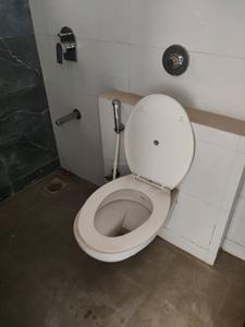 Common Bathroom Image of 420 Sq.ft 1 BHK Apartment / Flat for rent in Bhandup West Mumbai for Rs. 25000