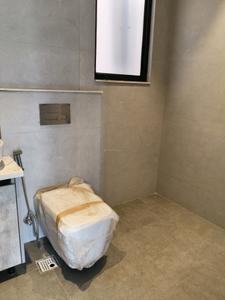 Common Bathroom Image of 1700 Sq.ft 3 BHK Builder Floor for rent in Palam Vihar Gurgaon for Rs. 44000