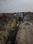 Sector 16 Greater Noida West, Noida Extension Plot View 2