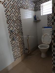 Bathroom Image of 800 Sq.ft 2 BHK Apartment / Flat for rent in Kalyani Nadia for Rs. 12000
