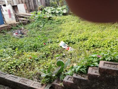 Belanagar Balcony 1