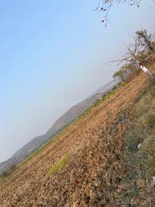 Image of 1089 Sq.ft Residential Plot / Land for sale in Koproli, Uran Taluka, Navi Mumbai for Rs. 600000