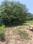 Rajatalab Plot View 2