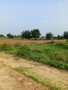 Image of 1344 Sq.ft Residential Plot / Land for sale in Lolai, Lucknow for Rs. 1800000