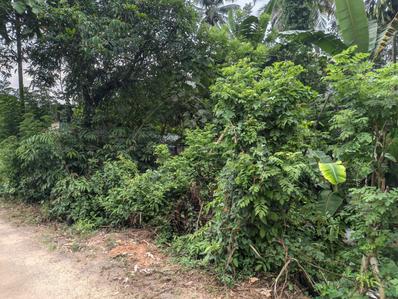Image of 2610 Sq.ft Residential Plot / Land for sale in HMT Kalamassery, Kochi for Rs. 7000000