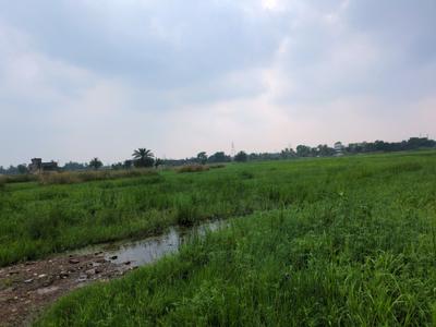 Wander Valley Plot View 2