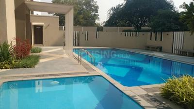 Image of 1025 Sq.ft 2 BHK Apartment / Flat for sale in ARV Imperia C D And E Building, Pisoli, Pune for Rs. 4800000