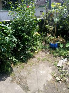 Image of 871 Sq.ft Residential Plot / Land for sale in Palluruthy, Kochi for Rs. 1600000
