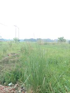 Image of 720 Sq.ft Residential Plot / Land for sale in Fresco Fountain City Plots, Sankharipota, Raypur for Rs. 280000