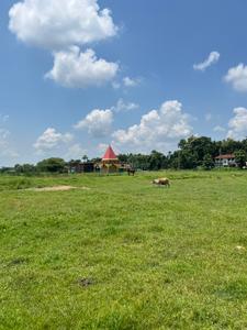 Image of 3600 Sq.ft Residential Plot / Land for sale in Naxalbari, Siliguri for Rs. 1500000