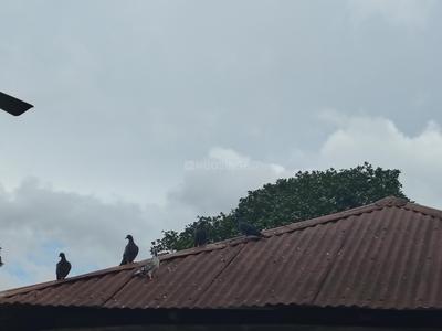 Image of 27648 Sq.ft 12 BHK Farm House for sale in Udaipur, Gomati for Rs. 20000000