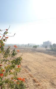 Balcony Image of 650 Sq.ft 1 BHK Apartment / Flat for sale in JD Green Paradise, Lohegaon Pune for Rs. 4375000