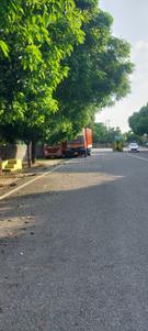Image of 1625 Sq.ft 3.5 BHK Apartment / Flat for rent in Sector 99, Noida for Rs. 32000