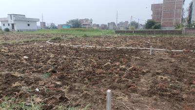 Kurthaul Plot View 1